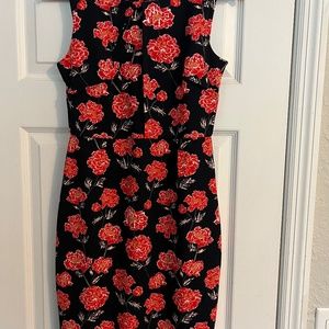 Banana Republic Woman’s dress
